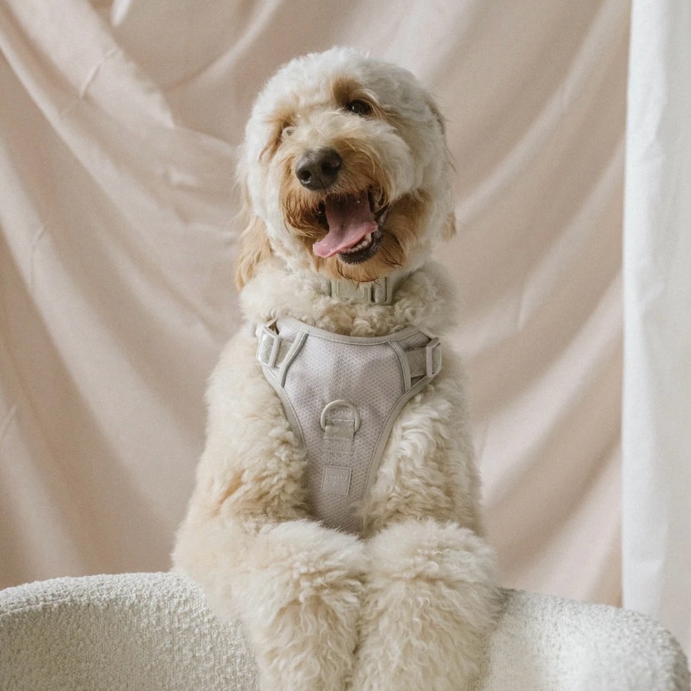 Peachy Dogs 2.0 Oatmilk Harness.
